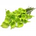 24pcs Artificial Calla Lily Bridal Wedding Bouquet Real Touch PU Flowers- Green   142906084893
